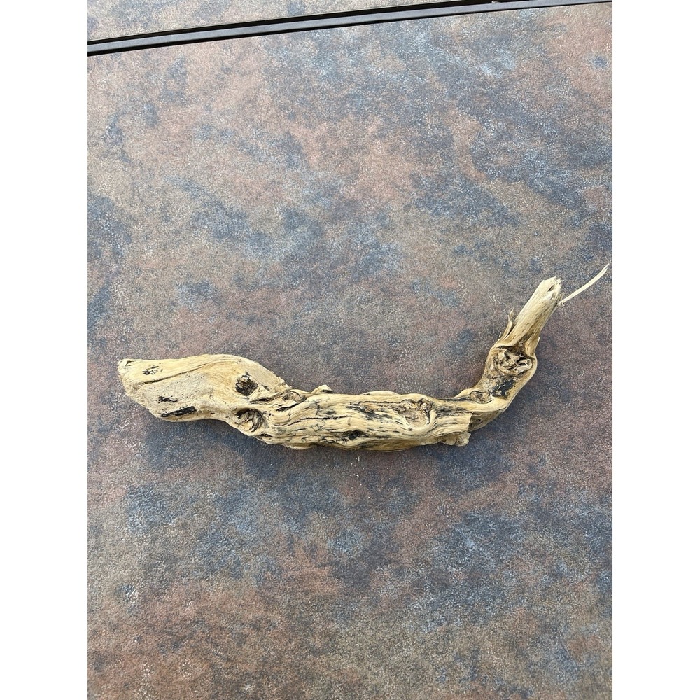 Natural Driftwood for Plants Terrarium Taxidermy‎ Art Projects